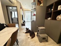 Affinity At Serangoon (D19), Apartment #605917821